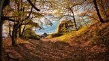 Waldweg zum Meer