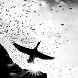 Die in den Himmel gerichtete Schwarzweißaufnahme eines Geschwaders von Krähenscharben (Gulosus aristotelis), das über die norwegische Insel Hornøya zieht, verwirrt den Betrachter im ersten Augenblick. Beinahe wirkt es, als gleite ein überdimensionaler Riesenvogel über den flatternden Schwarm seiner Artgenossen. Tatsächlich aber hat Jannik Jansons hier eine Krähenscharbe sehr nah und kontrastreich vor seinem Objektiv eingefangen – und sie dadurch in eine Gigantin verwandelt.