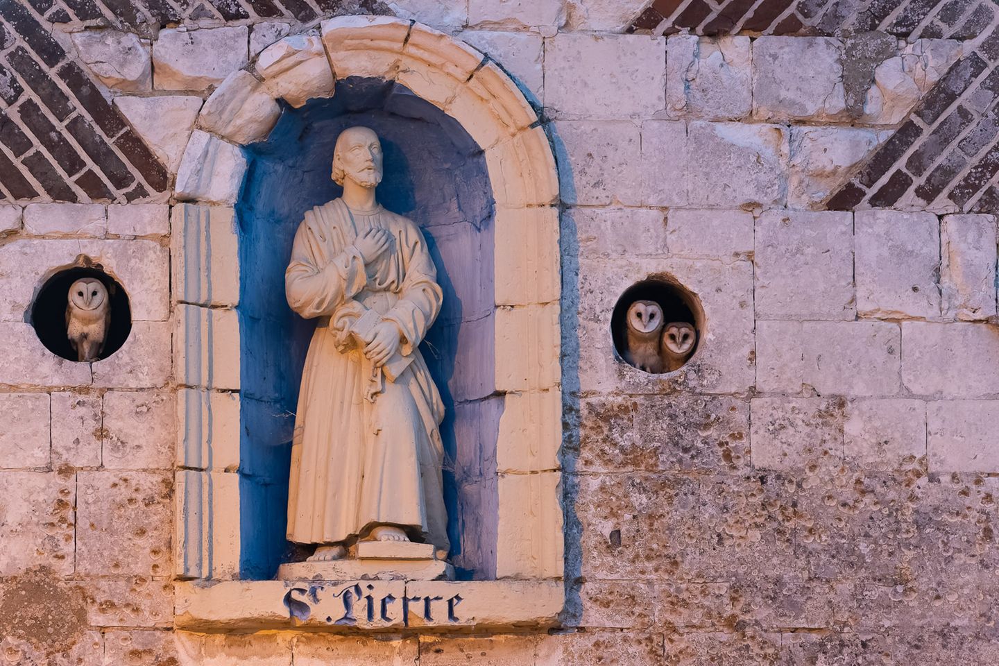 Als wären sie wie Statuen mit dem Gebäude verwachsen, blicken diese Schleiereulen aus einer Nische in der Wand einer verlassenen Kapelle im Nordwesten Frankreichs. Der Fotograf Benoit Henrion hatte beobachtet, dass die Kapelle von Westlichen Schleiereulen (Tyto alba) besetzt wurde, die dort allerdings keine geeignete Fläche zum Nisten fanden. Also brachte er einen Nistkasten an – und konnte anderthalb Jahre später dieses Eulenpaar samt Nachwuchs fotografieren, das in der Abenddämmerung von einer Straßenlaterne angestrahlt wird. 