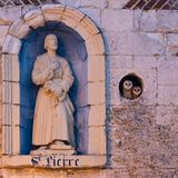 Als wären sie wie Statuen mit dem Gebäude verwachsen, blicken diese Schleiereulen aus einer Nische in der Wand einer verlassenen Kapelle im Nordwesten Frankreichs. Der Fotograf Benoit Henrion hatte beobachtet, dass die Kapelle von Westlichen Schleiereulen (Tyto alba) besetzt wurde, die dort allerdings keine geeignete Fläche zum Nisten fanden. Also brachte er einen Nistkasten an – und konnte anderthalb Jahre später dieses Eulenpaar samt Nachwuchs fotografieren, das in der Abenddämmerung von einer Straßenlaterne angestrahlt wird. 