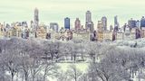 Central Park im Winter