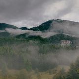 Korfoxylia Magouliana, MANNA Arcadia, Peloponnese, Griechenland