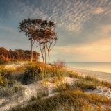 Darßer Weststrand in Mecklenburg-Vorpommern