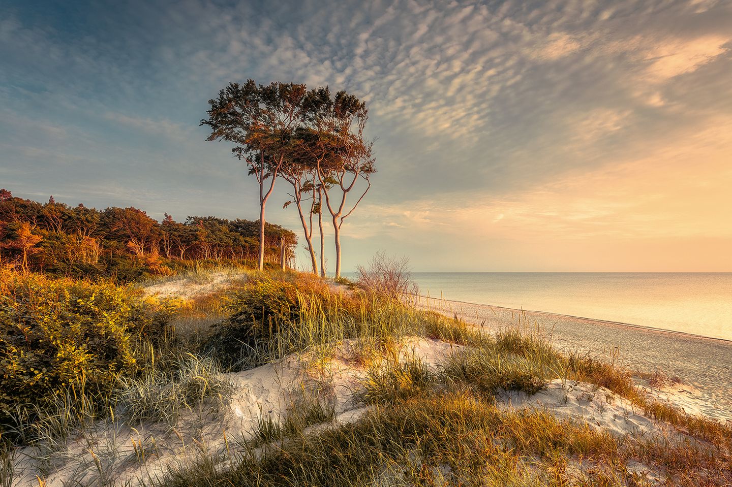 Darßer Weststrand in Mecklenburg-Vorpommern