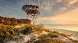 Darßer Weststrand in Mecklenburg-Vorpommern