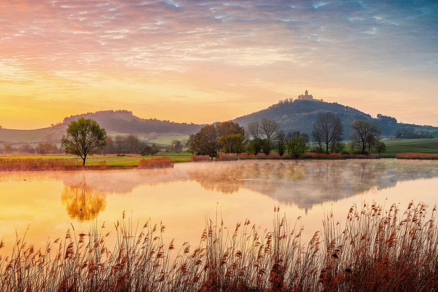 Spiegelnde Bäume, Hügel und Burg im See
