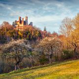 Burgruine Hanstein in Thüringen zwischen Bäumen