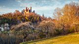 Burgruine Hanstein in Thüringen zwischen Bäumen