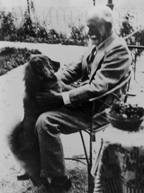 Zwei, die sich nahestehen: Freud und Jo-Fi im Jahr 1937