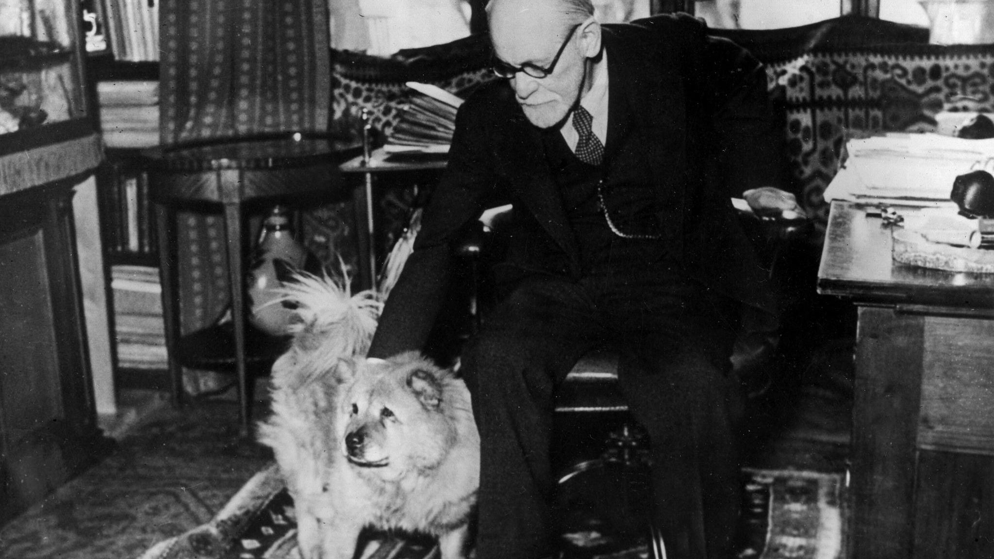 Freuds Therapiehündin: Große Liebe: Sigmund Freud mit Jo-Fi in seinem Wiener Büro Große Liebe: Sigmund Freud mit Jo-Fi in seinem Wiener Büro
