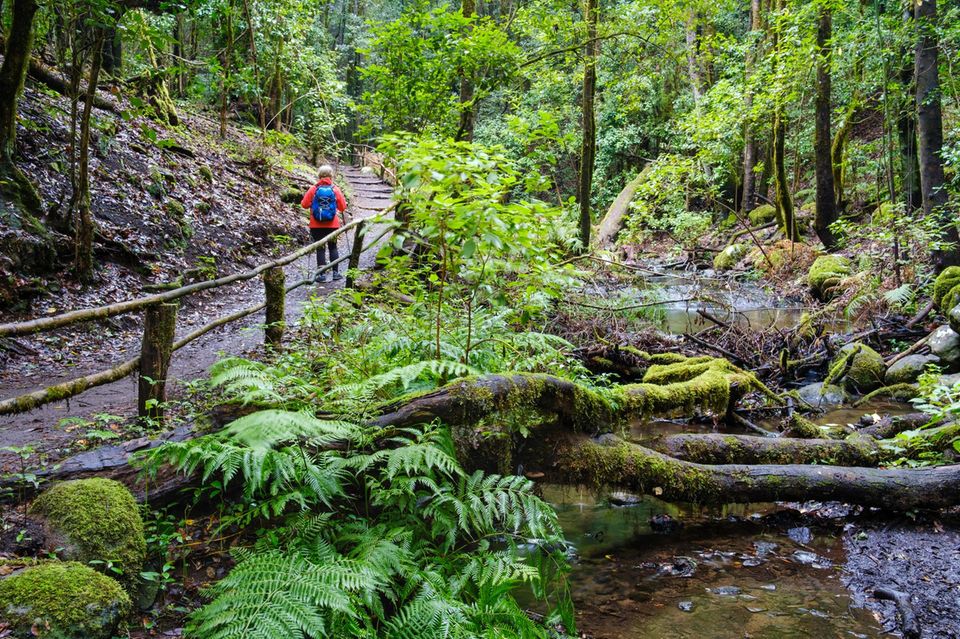 Wanderweg auf La Gomera