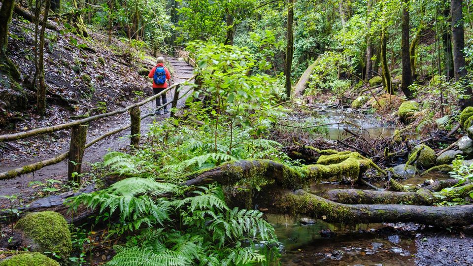 Wanderweg auf La Gomera