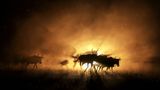 Commended - Gnus auf der Flucht