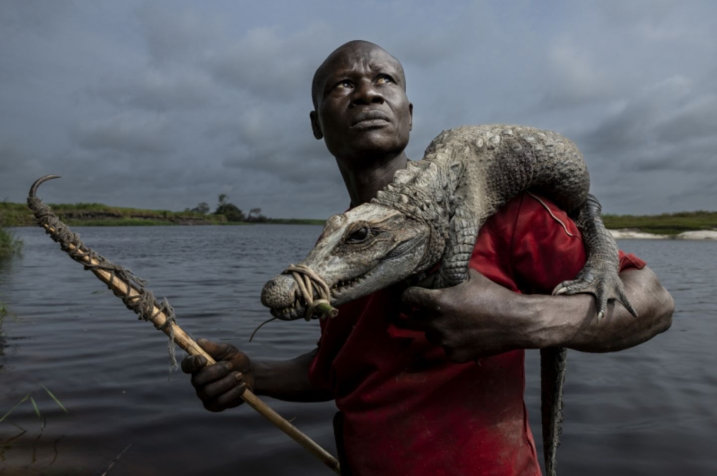 Itoua Brice posiert mit einem Zwergkrokodil, das er in den Sümpfen des Lake Télé Community Reserve, einem riesigen Sumpfwald im Kongo, gefangen hat. Die Einheimischen ziehen die Krokodile mit einer Liane aus ihren Höhlen, an der ein Haken befestigt ist. Krokodiljagd ist im Reservat für den lokalen Gebrauch erlaubt, der Verkauf der Tiere ohne Genehmigung ist jedoch verboten. Das Reserve wird gemeinsam von den kongolesischen Naturschutzbehörden und der Wildlife Conservation Society (WCS) verwaltet. 
