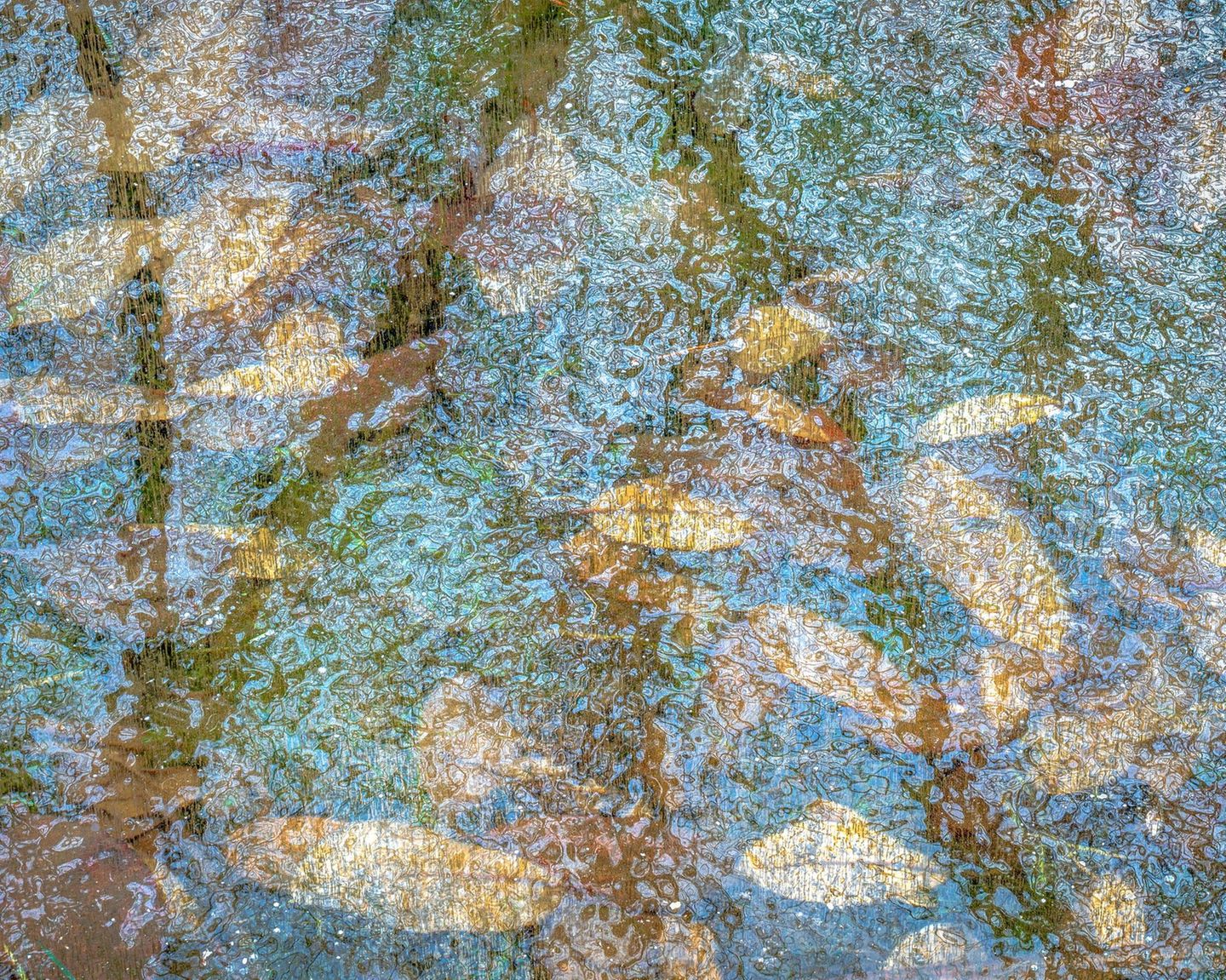 Verbunden im Frost Mit Eis eingeschlossene Blätter aus der Luft