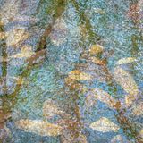 Mit Eis eingeschlossene Blätter aus der Luft