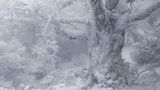 Eingeschneiter Baum nach Schneesturm in den japanischen Bergen