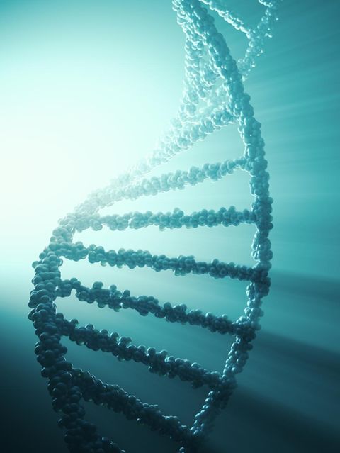 DNA Strang