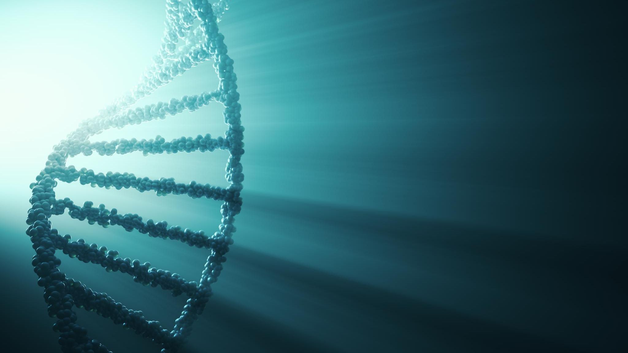 DNA Strang  DNA Strang