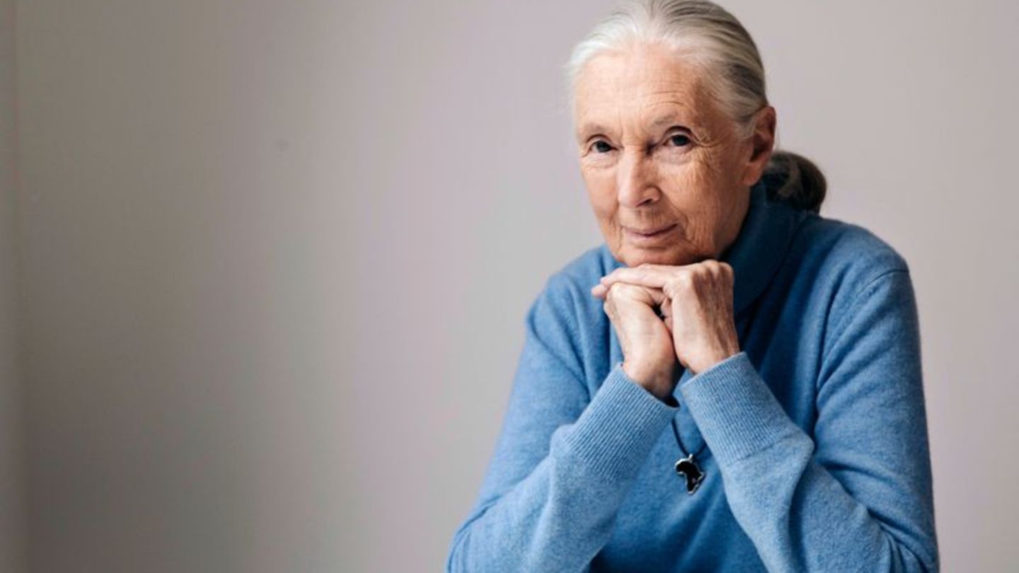 Die berühmte Schimpansenforscherin Jane Goodall ist im Alter von 91 Jahren gestorben. (Archivbild) Foto: Victoria Will/Invision/