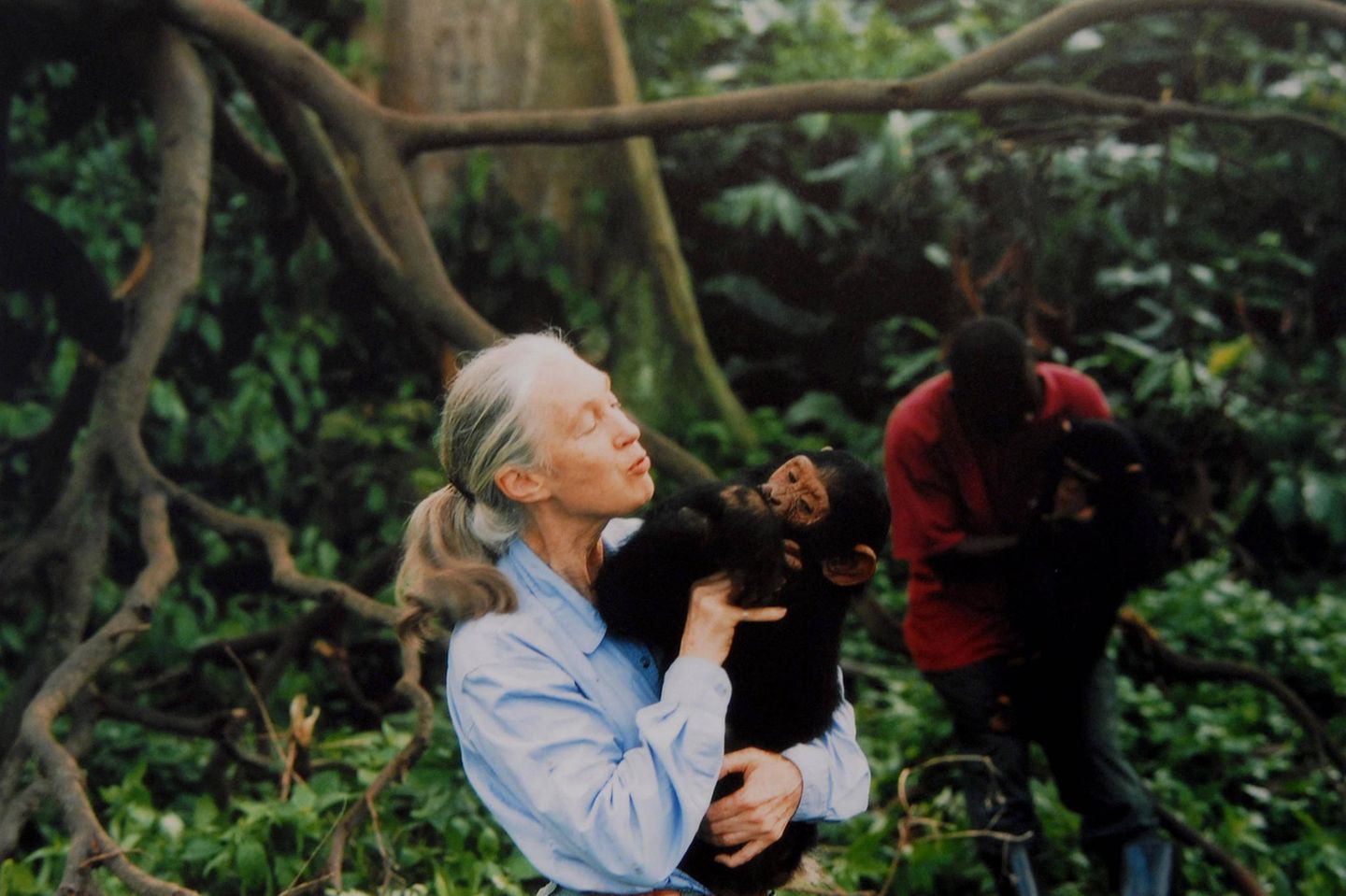 Jane Goodall