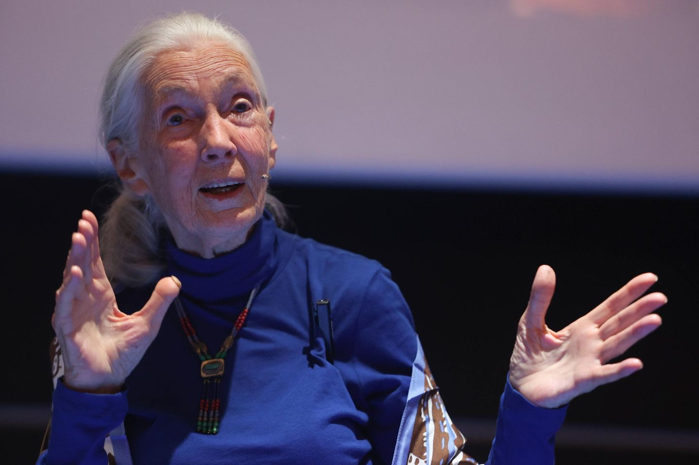 Jane Goodall