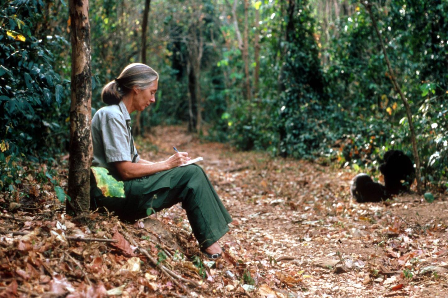 Jane Goodell