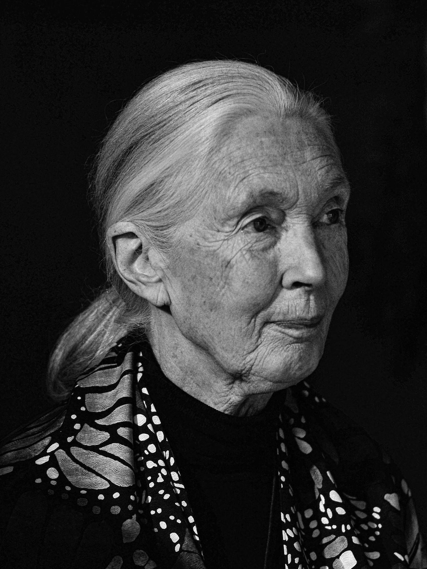 Jane Goodall, 2017