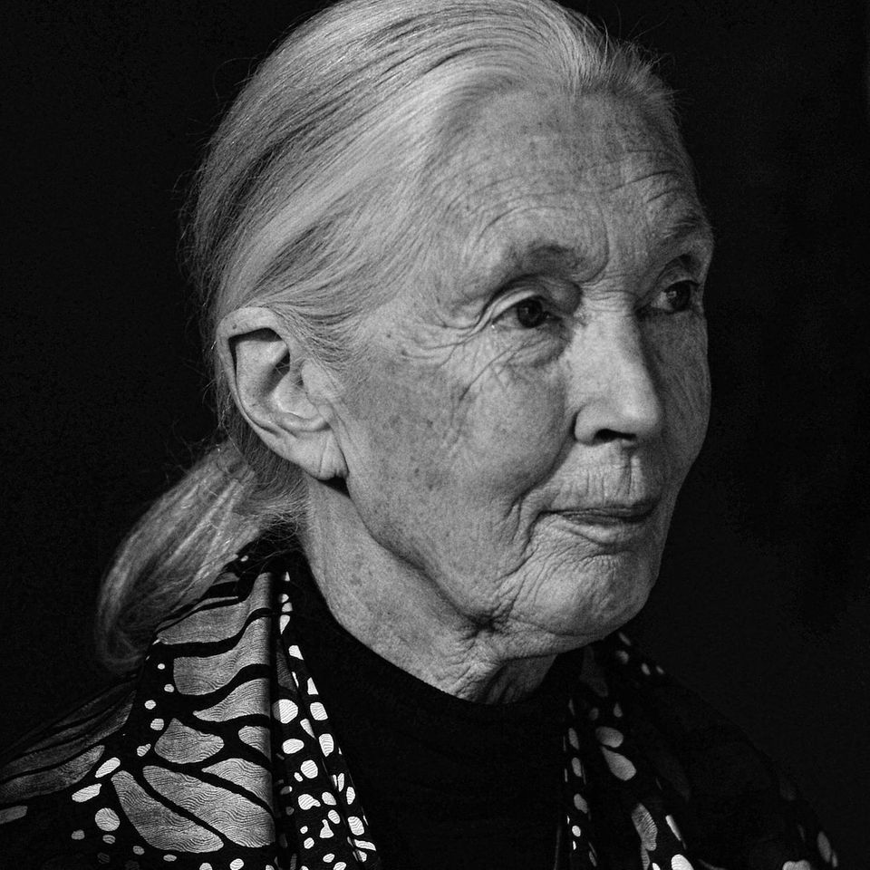 Jane Goodall, 2017