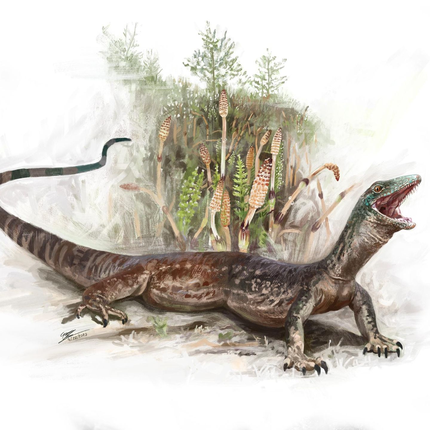 Der Kiefer einer Schlange, der Körper einer Echse: Vor 167 Millionen Jahren machte Breugnathair elgolensis Jagd auf und kleinere Echsen, frühe Säugetiere und sogar junge Dinosaurier