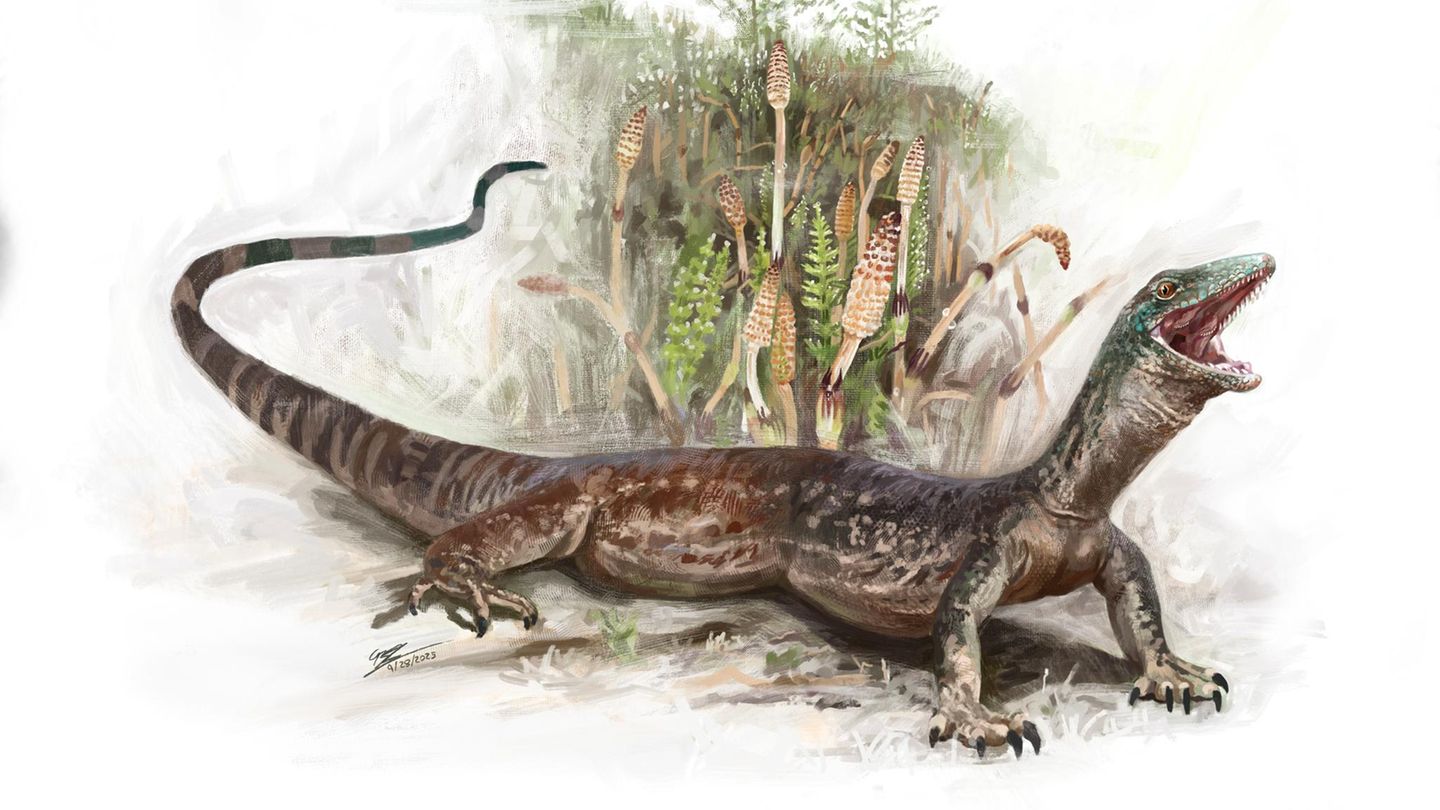 Pal-ontologie-Fossil-entpuppt-sich-als-Mischwesen-aus-Schlange-und-Echse