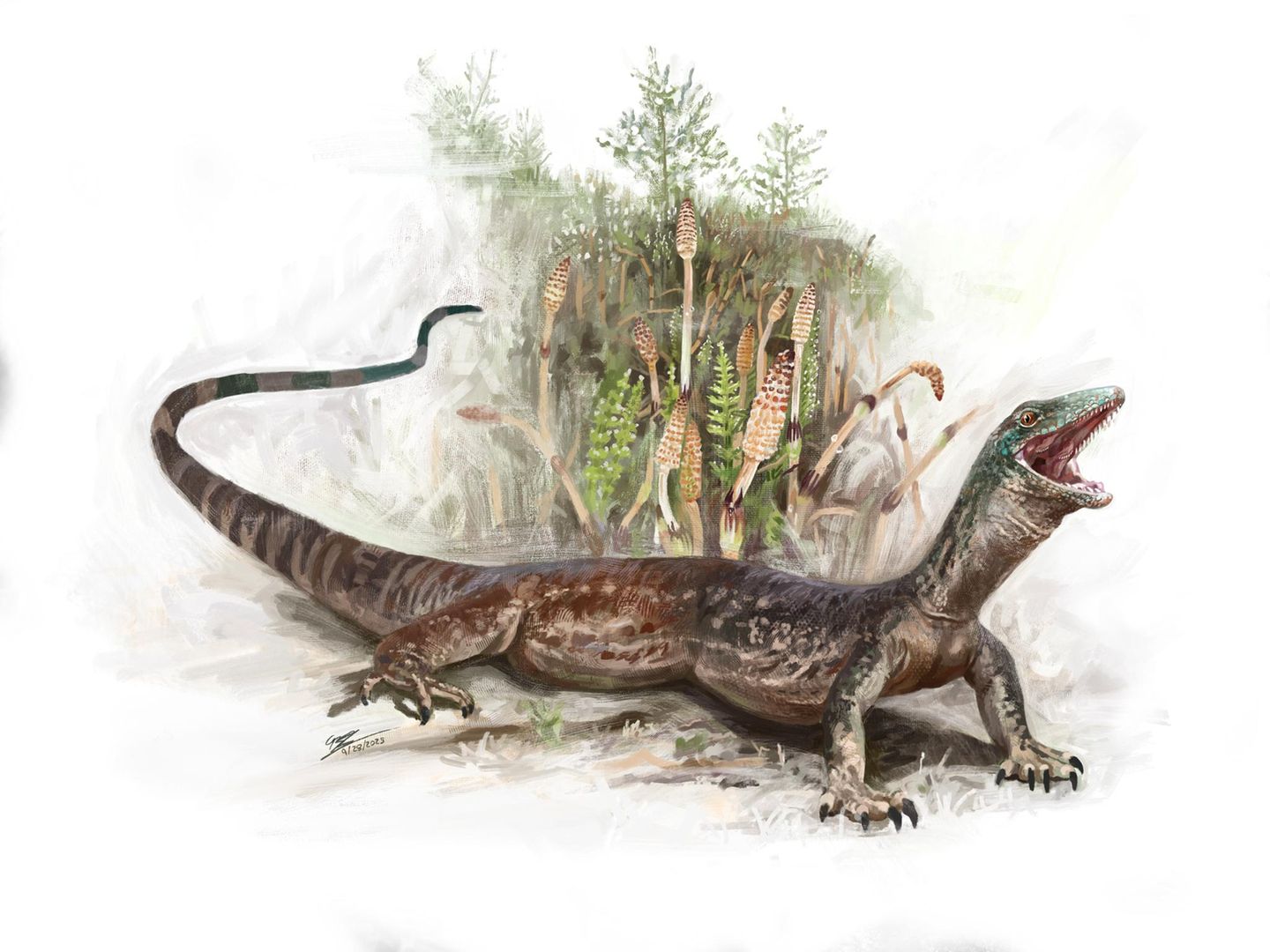 Der Kiefer einer Schlange, der Körper einer Echse: Vor 167 Millionen Jahren machte Breugnathair elgolensis Jagd auf und kleinere Echsen, frühe Säugetiere und sogar junge Dinosaurier