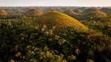 Riesige Erhebungen auf der philipinischen Insel Bohol, welche wegen ihrer Trockenheit braun werden, mitten im Wald