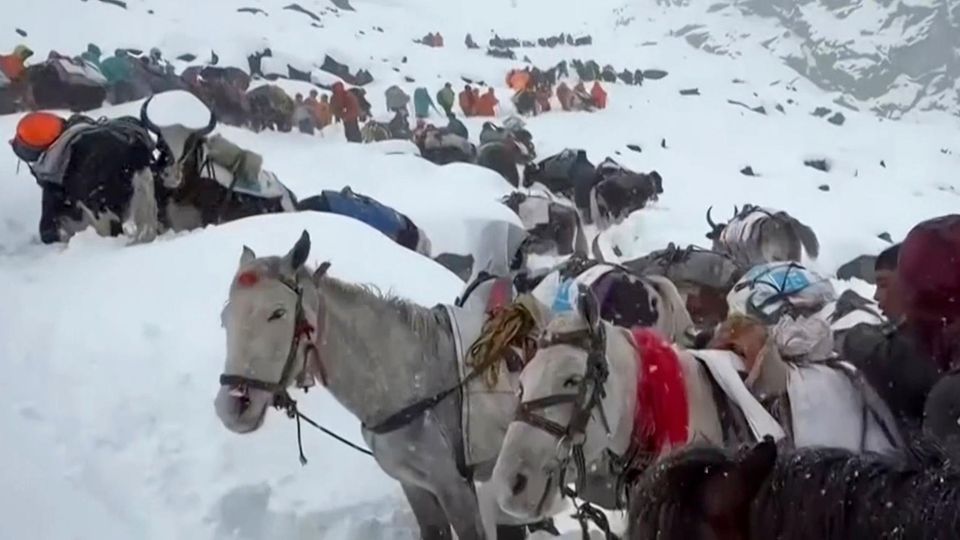 n this photo taken Oct. 4, 2025 and released by Lingsuiye, villagers with their oxen and horses ascend the mountain during rescue efforts to reach hundreds of hikers trapped by heavy snow at tourist campsites on a slope of Mount Everest in Tibet on Sunday, Oct. 5, 2025. (Lingsuiye via AP)