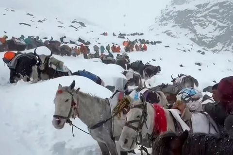 n this photo taken Oct. 4, 2025 and released by Lingsuiye, villagers with their oxen and horses ascend the mountain during rescue efforts to reach hundreds of hikers trapped by heavy snow at tourist campsites on a slope of Mount Everest in Tibet on Sunday, Oct. 5, 2025. (Lingsuiye via AP)