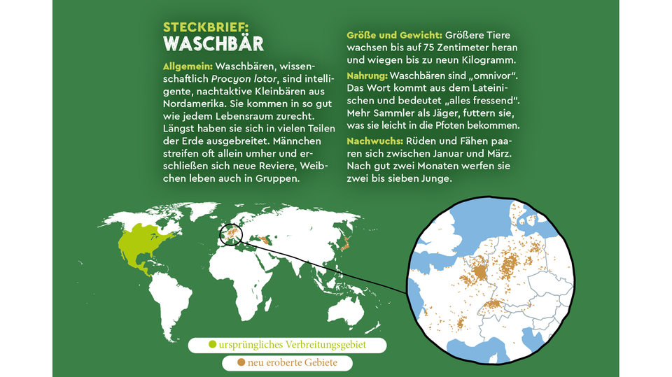 Natur und Umwelt: Wilde Wanderer
