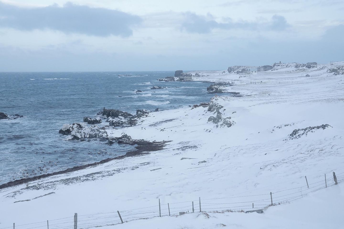 Vatnsnes Für Fans rauer Winterlandschaften ist die Halbinsel Vatnsnes mit ihren schneebedeckten Stränden und den dramatischen Felsformationen ein echtes Juwel. Ein Highlight ist die Hvitserkur-Felsformation, eine 15 Meter hohe Basaltsäule, die aus dem Wasser ragt. Während sie manche an einen Troll erinnert, wollen andere in ihr einen Dinosaurier oder einen Drachen sehen.