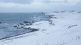 Vatnsnes Für Fans rauer Winterlandschaften ist die Halbinsel Vatnsnes mit ihren schneebedeckten Stränden und den dramatischen Felsformationen ein echtes Juwel. Ein Highlight ist die Hvitserkur-Felsformation, eine 15 Meter hohe Basaltsäule, die aus dem Wasser ragt. Während sie manche an einen Troll erinnert, wollen andere in ihr einen Dinosaurier oder einen Drachen sehen.