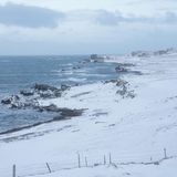 Für Fans rauer Winterlandschaften ist die Halbinsel Vatnsnes mit ihren schneebedeckten Stränden und den dramatischen Felsformationen ein echtes Juwel. Ein Highlight ist die Hvitserkur-Felsformation, eine 15 Meter hohe Basaltsäule, die aus dem Wasser ragt. Während sie manche an einen Troll erinnert, wollen andere in ihr einen Dinosaurier oder einen Drachen sehen.