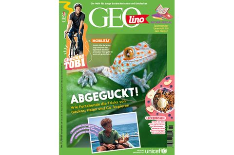 Cover GEOlino 11-2025: Gecko