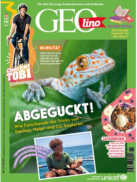 Cover GEOlino 11-2025: Gecko
