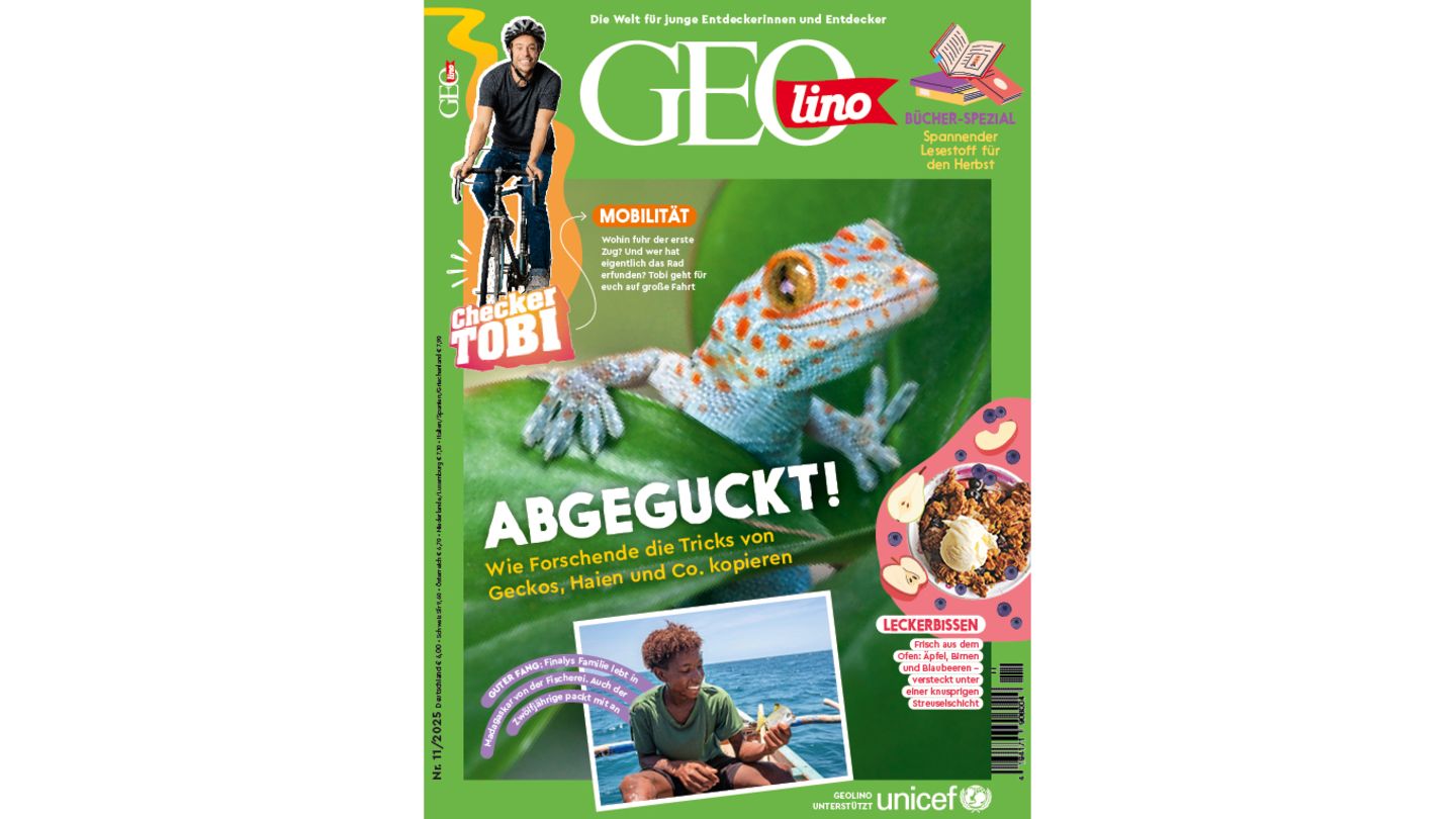 GEOlino-Gecko