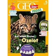 GEOlino Mini 11/2025: Ozelot