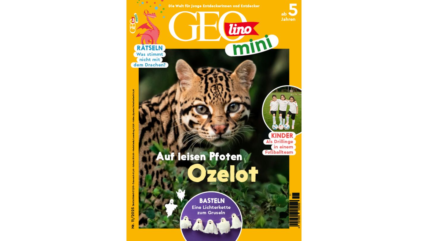 GEOlino-Mini-Ozelot