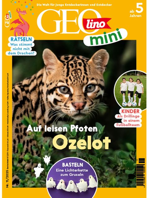 GEOlino Mini 11/2025: Ozelot