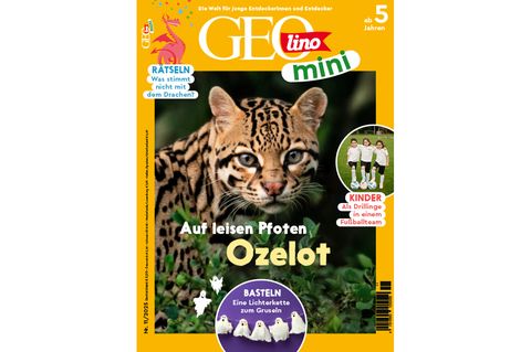 GEOlino Mini 11/2025: Ozelot