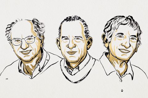 John Clarke, Michel H. Devoret und John M. Martinis erhalten in diesem Jahr den Nobelpreis für Physik