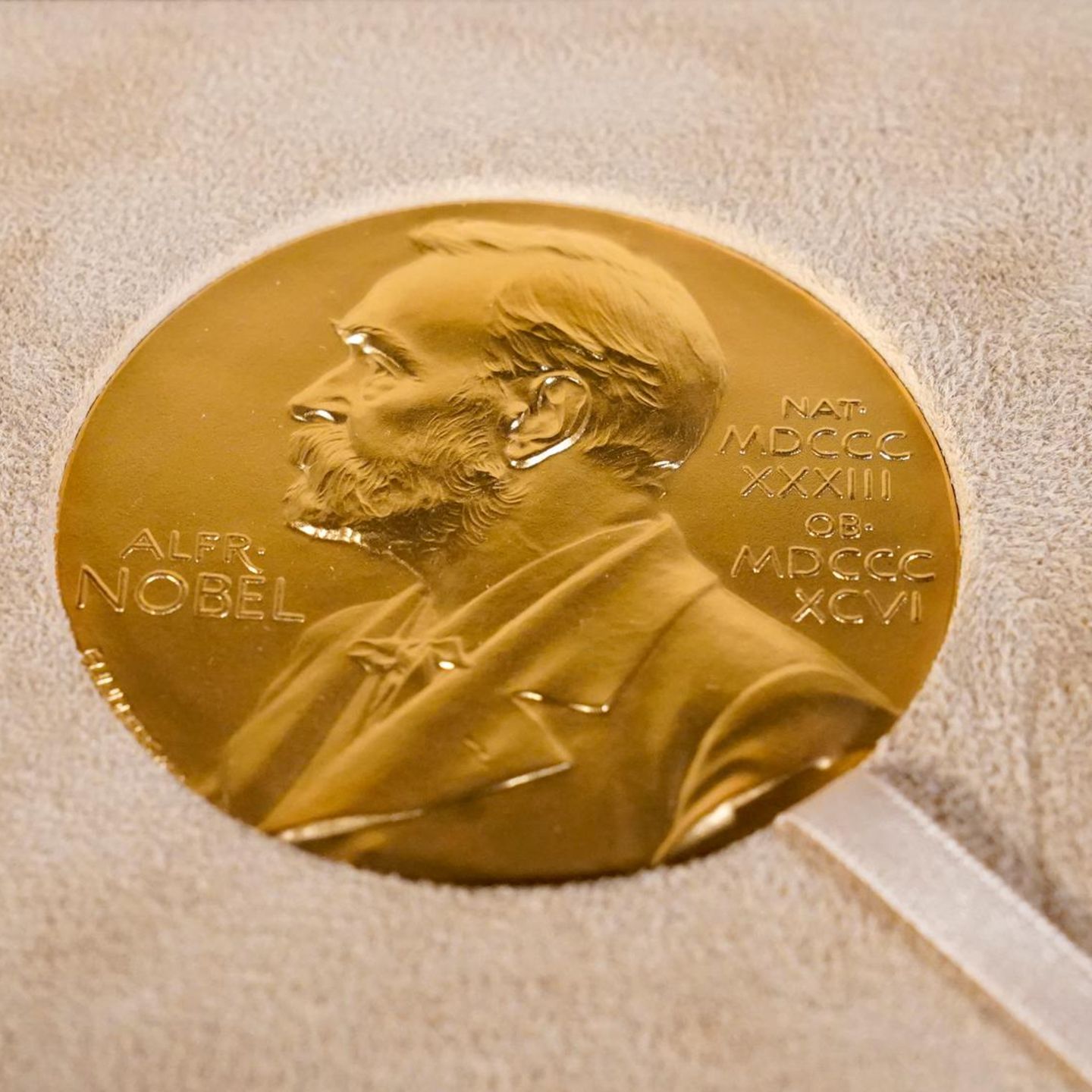 Nobelpreis
