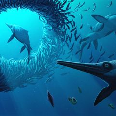 So könnte er ausgesehen haben: Xiphodracon goldencapensi, ein Jäger der Meere 