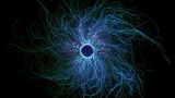 Aus iPSC gewonnene sensorische Neuronen, markiert zur Darstellung von Tubulin und Aktin
